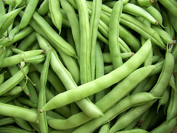 Green Beans (Fresh)